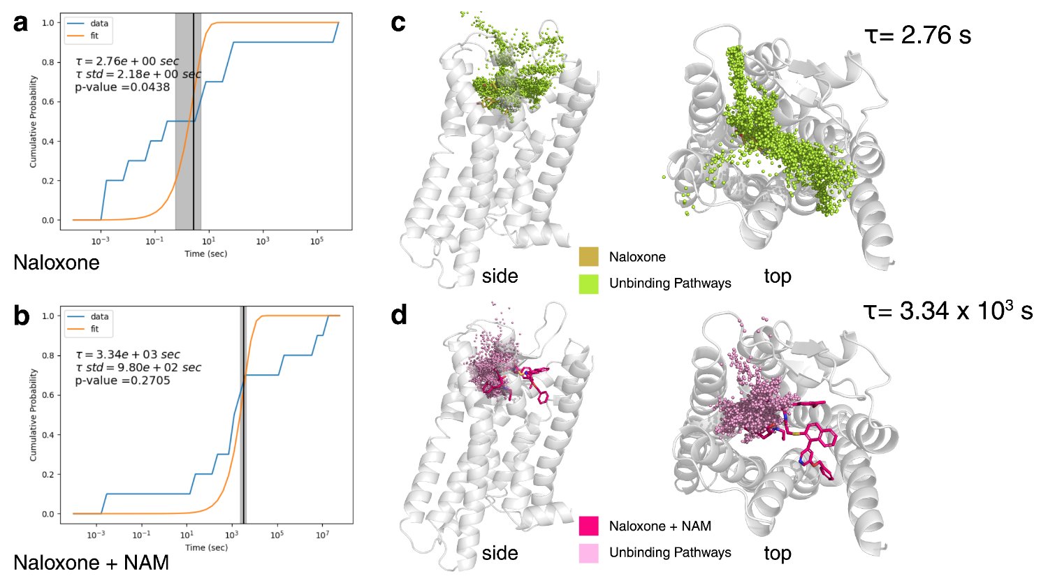 Naloxone unbinding kinetics from the mu-opioid receptor with and without a negative allosteric modulator